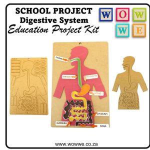Wow We School Project - Digestive System 1.0 SP-07A